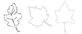 From parents.com parents may receive compensation when you click through and purchase from links contained on this website. Fall Leaves Coloring Pages Best Coloring Pages For Kids