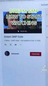 This skin is not an exact replica of fundy's skin, but it's pretty close. Pin By Ivory On Dream Smp á´¿áµƒáµ— Video In 2021 Dream Smp Dream Smp Funny Tommyinnit Quotes