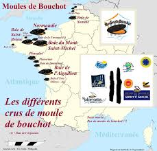 Saison des moules de bouchot 2019. Moule De Bouchot Recettes Du Succes Des Moules Marinieres