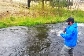 Where can i fly fish in arizona? Top 5 Az Family Camping And Fishing Spots For August Gilavalleycentral Net
