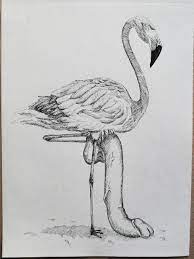 Flamingo dick pic