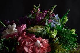 Enthusiasm Flower Jokes Best Flower Wallpaper
