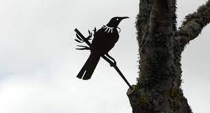 Metalbird Bird Silhouette Nz Native Birds Bird Art