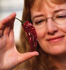 The Chile Cultivars of New Mexico State University Released from 1913 to  2016