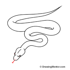 I also have a simple scheme of ink hatching samples for your reference: How To Draw A Snake
