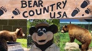 We talked with south dakota game fish and parks conservation officer chris dekker thursday afternoon and says there's been a bear spotted around the black hills all summer, from spearfish to. So Many Bears At Bear Country Usa In South Dakota Youtube