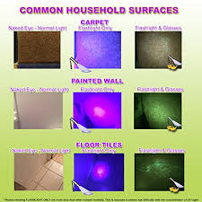 Uv Flashlight Pet Urine Detector By Doggone Pet Products Blacklight Finds Dry Dog Cat Stains On Carpets Hard Floors Paint Alkaline Batteries Included With 12 Led Ultra Violet Blacklight