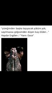 Yuregimden Baska Tasiyacak Yukum Yok Sayilmazsa Gogsumden Dusen Kus Oluleri Haydar Ergulen Edebiyat Guzel Soz Alintilar