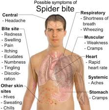Pin On Insects And Bites
