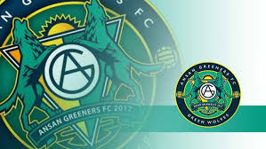 Ansan wa~ stadium 35.008 seats. 3 Bintang Ansan Greeners Yang Jadi Tandem Asnawi Mangkualam Di Korea Indosport