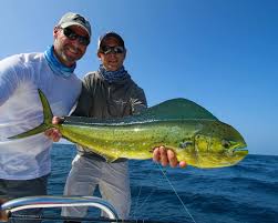 Weekly Fishing Report Archives Alphonse Fishing Company