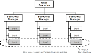 The 4 Types Of Project Organizational Structure