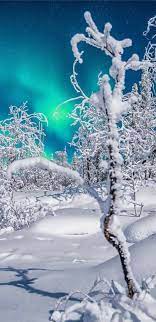 Nordlicht, northern lights, polarlicht, schnee, winter, HD phone wallpaper  | Peakpx