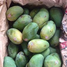 Daftar harga bibit mangga harum manis terbaru juni 2021. Mangga Harum Manis Shopee Indonesia