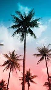 All cute email backgrounds, email themes, templates are compatible with gmail, yahoo mail, hotmail, aol, outlook, windows mail, mac mail and other webmail clients. 1001 Ideas For A Cute Summer Wallpaper To Let The Sunshine In