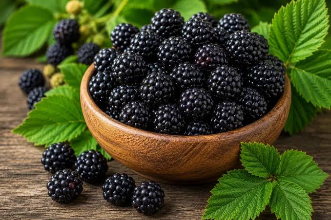 Fresh Blackberries: Nutrition, Benefits, Uses & Sourcing Guide | nrtcgroup