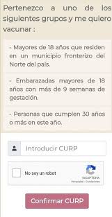 Sí tienes dudas de cómo utilizar la página web de mi vacuna.salud.gob.mx, te explicamos paso a paso el procedimiento que debes seguir para hacer el registro y recibir la vacuna. Inicia Registro Para Vacuna En Mayores De 30 Anos El Heraldo De Chiapas Noticias Locales Policiacas Sobre Mexico Chiapas Y El Mundo