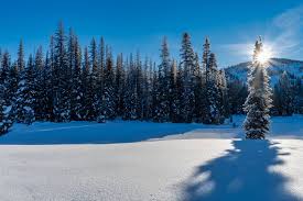 Above The Valley Inversion The Sun And Clear Blue Skies Highlighted A Morning Of Winter Hiking At Lolo Pass Montana Idaho Hikin Clear Blue Sky Morning Sky Sky