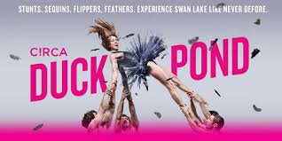 Lyn Gardner Talks to Yaron Lifschitz About Duck Pond, Circa's Bold Take