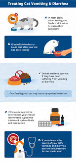 My question, can i eliminate the prilosec and the zantac and replace them with something. Causes Of Vomiting Diarrhea In Cats Canna Pet