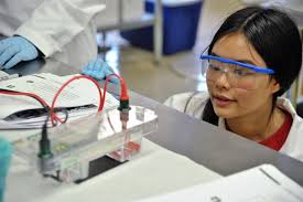 Preparing the Next Generation of STEM Leaders at the Amgen Biotech  Experience