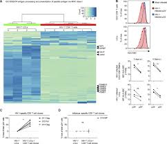 Here you can see the previous versions. Ebv Renders B Cells Susceptible To Hiv 1 In Humanized Mice Life Science Alliance