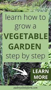 Vegetable Gardening Success Online Course Audrey S Little Farm In 2020 Vegetable Garden Raised Beds Starting A Vegetable Garden Garden Steps