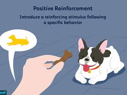 The ultimate goal is to swap objectionable, problematic. Positive Reinforcement And Operant Conditioning