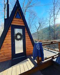 Profile for The Wildflower