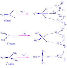 Inductive Effect And Field Effect In Organic Chemistry Chemsolve Net In 2021 Inductive Effect Organic Chemistry Organic Chemistry Books