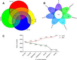 Necrotizing pneumonia (np), also known as cavitary pneumonia or cavitatory necrosis, is a rare but severe complication of lung parenchymal infection. Genome Wide Comparison Of Four Mrsa Clinical Isolates From Germany And Hungary Peerj