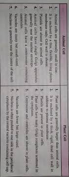 Plants and animal cells share many similarities because they are both eukaryotic cells. Differentiate Between Plant Cell And Animal Cell Also Write Their Similarities Brainly In