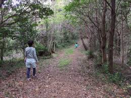 沼島生活の魅力をあらためて感じた ひょうごキッチンvol 1 ゲスト参加 こぶたのラッパ