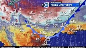 Image result for Wind Chill 2025 TX