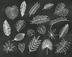 Download Handdrawn Tropical Leaves Scrapbook Clipart Tropical Leaves Photoshop Overlays Hand Drawn Overlays Digital Scra Scrapbook Clipart Photoshop Overlays Embroidery