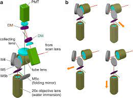 Maybe you would like to learn more about one of these? Eyecup Scope Optical Recordings Of Light Stimulus Evoked Fluorescence Signals In The Retina Springerlink