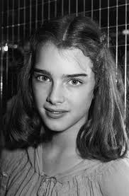 In 1983, price slapped a gilt frame on the photo and displayed it without labeling in a. Brooke Shields Alchetron The Free Social Encyclopedia