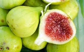 Beli produk warna hijau tua berkualitas dengan harga murah dari berbagai pelapak di indonesia. Sinonim Dan Varietas Buah Tin Warna Hijau Kuning Bagian 1 Petani Tin Karawang