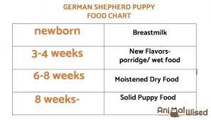 When puppies are still puppies, they're not that big a deal, but if you raise them as adults then it is important to follow the german shepherd vaccination schedule. Pin On Doggo