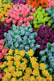 Rare and wonderful, a handmade, paper maché chess set with wooden playing board / storage case. Crepe Paper Flowers For Sale At Market San Miguel De Allende Mexico Stock Photo Dissolve
