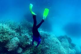 Danger Reef