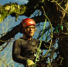 Maybe you would like to learn more about one of these? Uber Uns Gekoplan