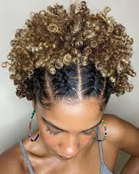 If you are one of those who loves wearing natural hair, i this glam style will make you look elegant and chic. 50 Jaw Dropping Braided Hairstyles To Try In 2021 Hair Adviser