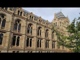 Se mută la londra din cauza războiului și aici continuă să sculpteze în ceară și creează primul muzeu la care intrarea costa 6 pence. London Natural History Museum Muzeul De Istorie NaturalÄƒ Din Londra Muzej Estestvoznaniya V Londone Youtube