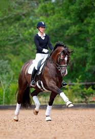 Charlotte dujardin is a british athlete and competes in dressage. Swb