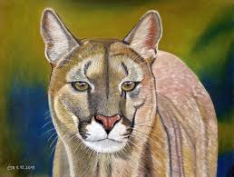 Hier gibt es bilder, fotos und malereien von ländern und landschaften, städten, die du schon immer sehen wolltest, aufnahmen von atemberaubender natur, tieren, menschen, pflanzen und so vieles mehr. Puma Im Portrat Mit Pastellkreide Gemalt Foto Bild Motive Kunstfotografie Pastellkreide Bilder Auf Fotocommunity