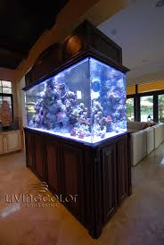 Pin By Living Color Aquariums The F On Awesomely Aquatic Custom Aquarium Coral Aquarium Home Aquarium
