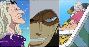 One Piece: 10 Best Doctors, Ranked