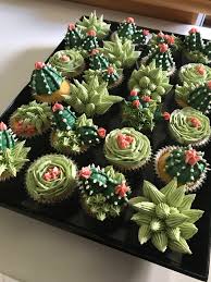 How much water does cactus houseplants need? Cactus Cakes For My Husband S Birthday Baking