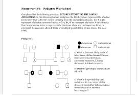 Pedigrees practice human genetic disorders key. Solved Homework 6 Pedigree Worksheet Complete All Of T Chegg Com